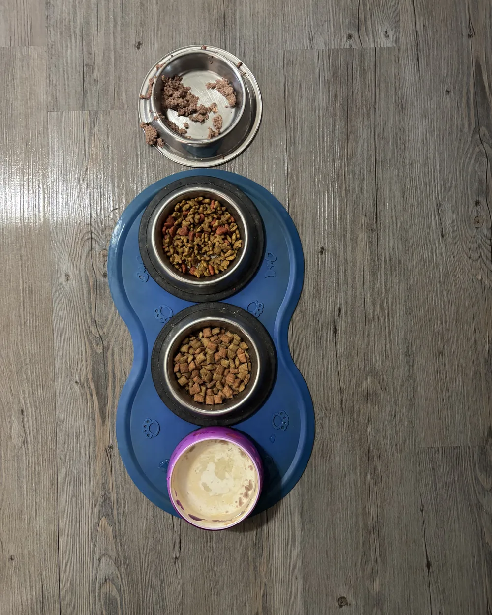 The same pet feeding mat cleaned, with the bowls refilled